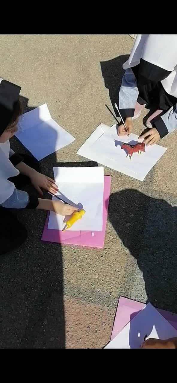 رسم سایه حیوانات اسباب بازی در حیاط توسط دانش آموزان