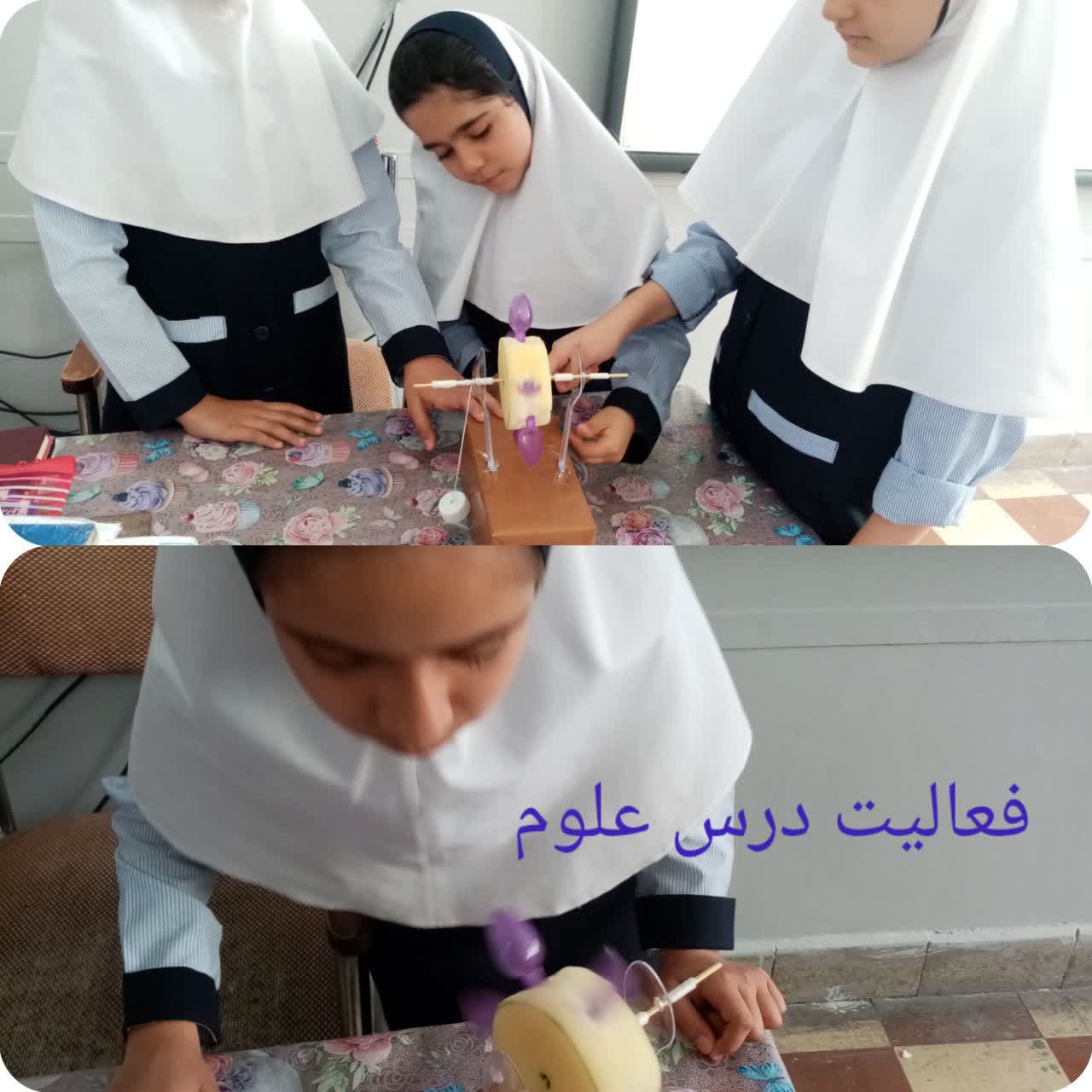 انجام فعالیت علوم