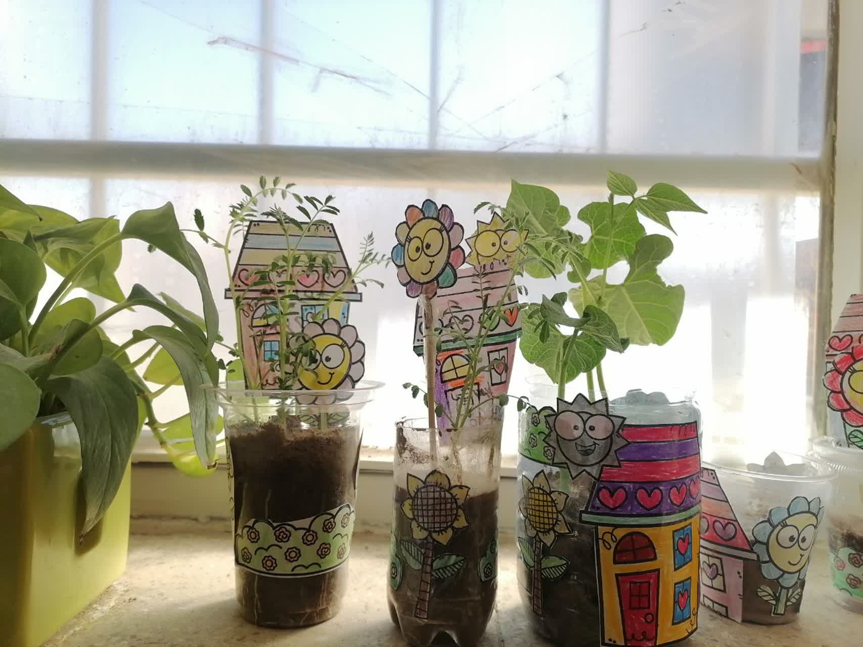 باغچه سبز فعالیت کاشت دانه درس علوم فصل۵