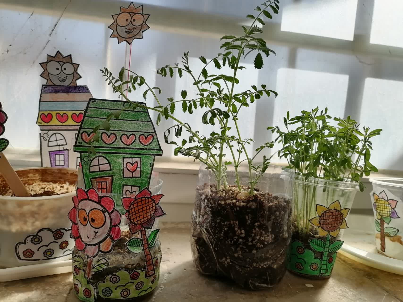 باغچه سبز فعالیت کاشت دانه درس علوم فصل۵